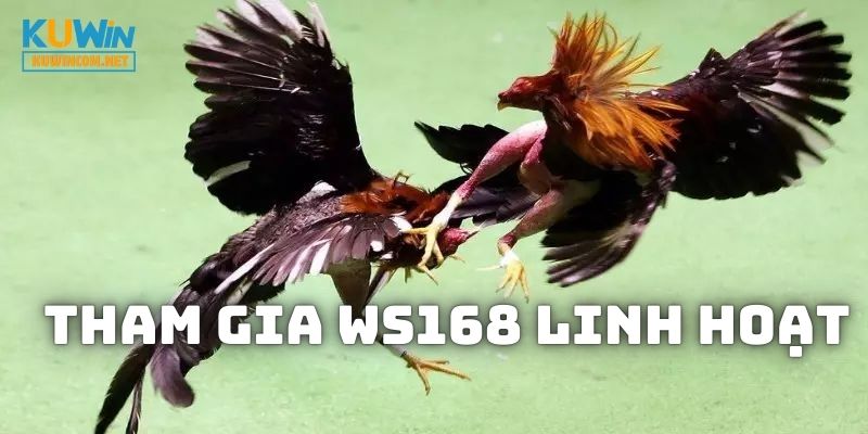 Tham gia trò chơi một cách đơn giản và linh hoạt