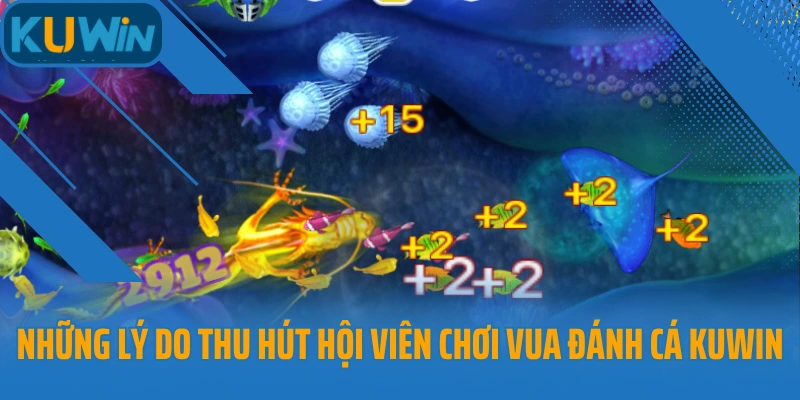 Những lý do thu hút hội viên chơi Vua Đánh Cá Kuwin